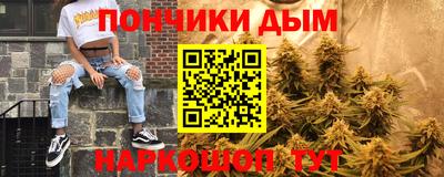 индика Сланцы