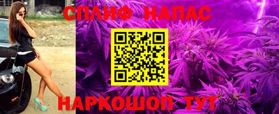 PSILOCYBIN Севастополь