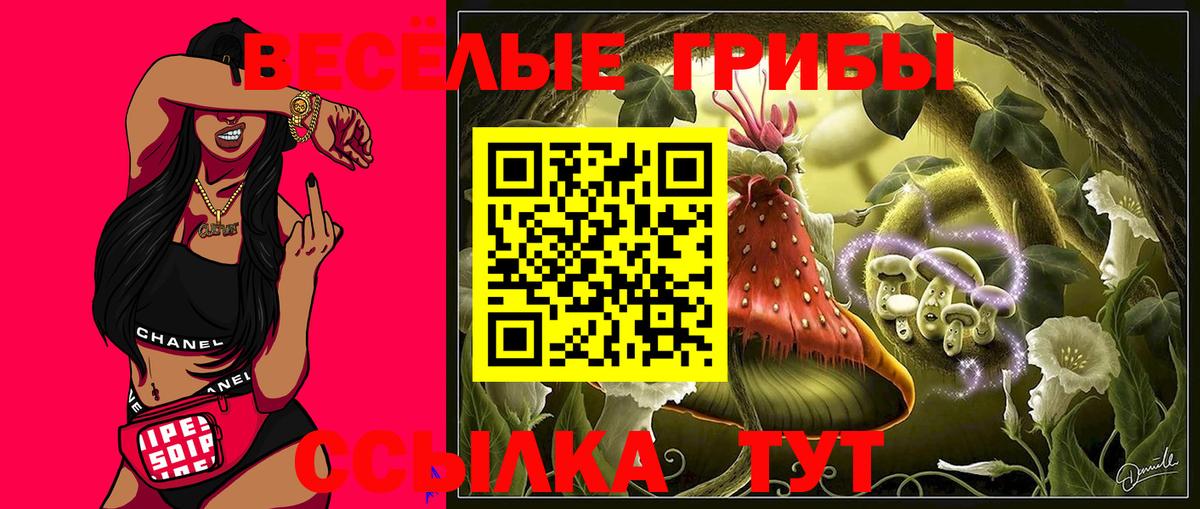 Галлюциногенные грибы GOLDEN TEACHER  Псилоцибиновые грибы Psilocybine cubensis  Полевской  Вход с VPN 